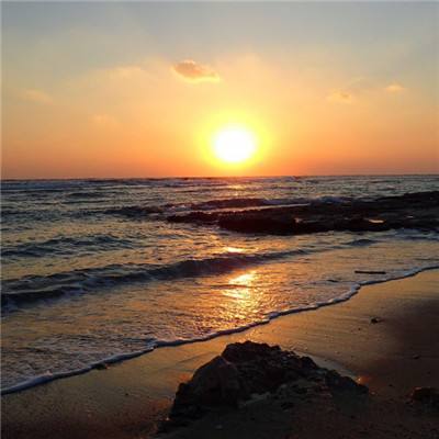 可以上下分捕鱼appapp下载