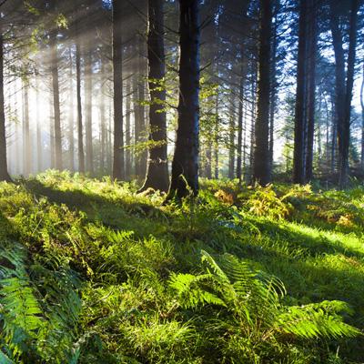 星空体育2024下载