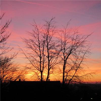 十一选五软件下载安装-登录入口