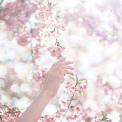 星空体育2024下载